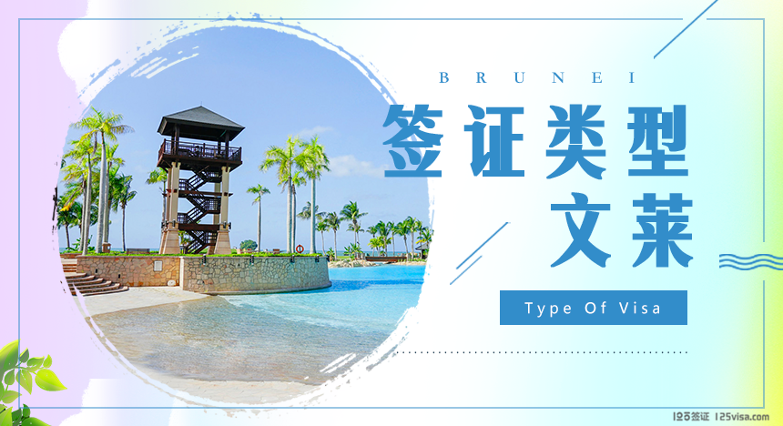 文莱签证类型