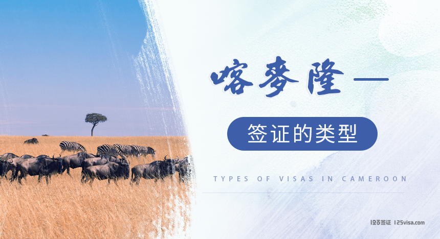 喀麦隆签证类型