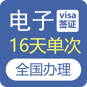 俄罗斯电子签证（30天单次）[全国办理]